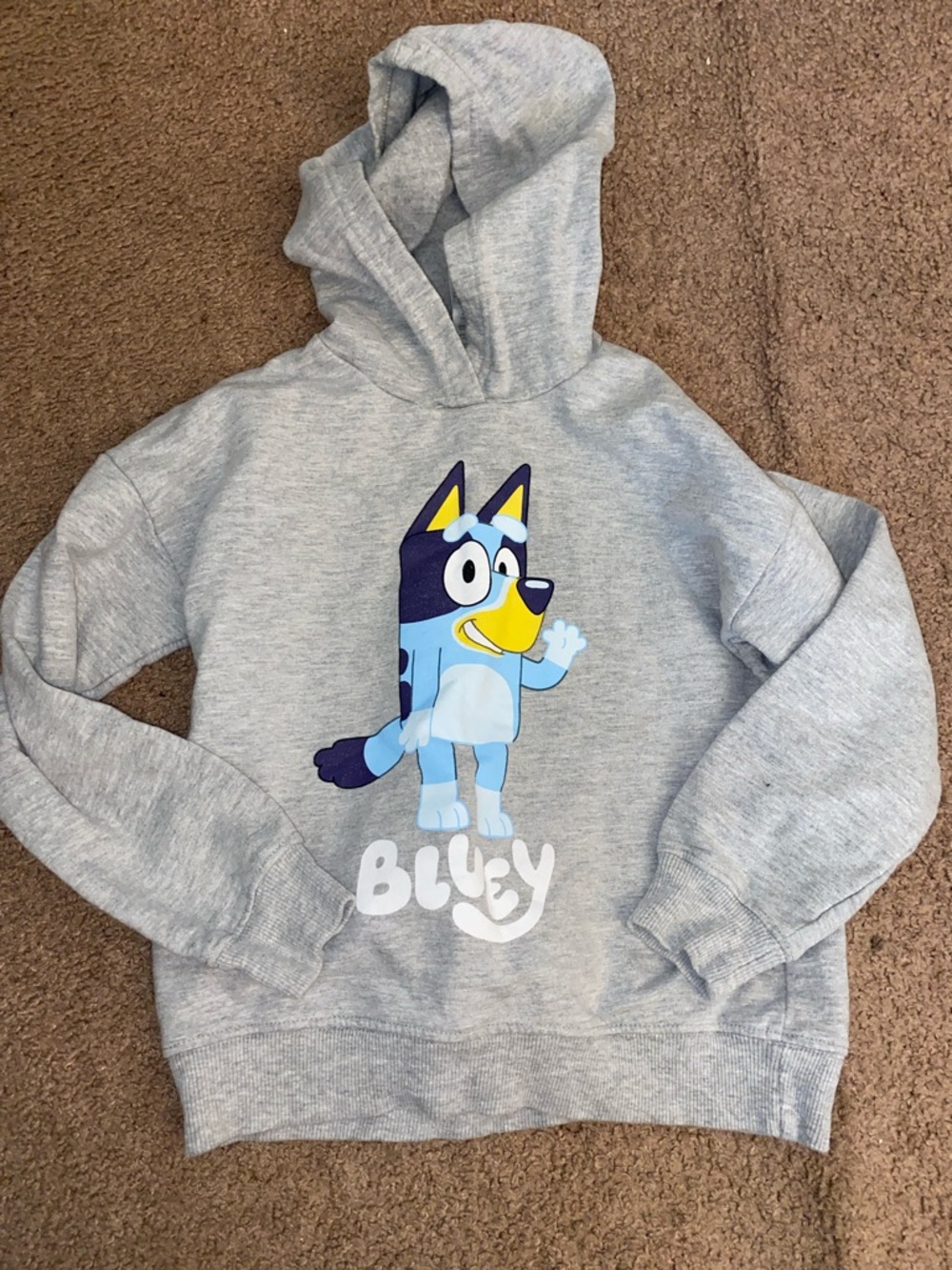 Bluey Graphic Hoodie Sweatshirt - Light Gray